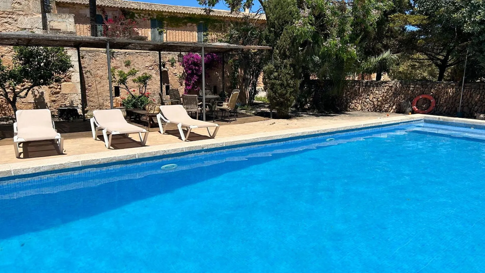 Finca Albenyeta contacts